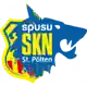 SKN ST. Polten logo