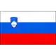 Slovenia U19 logo