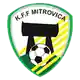 Mitrovica W logo