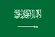 Saudi Arabia U23 logo