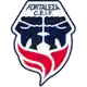 Fortaleza FC logo