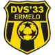 DVS 33 Ermelo logo
