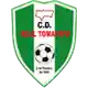 Real Tomayapo logo