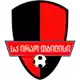 Irao logo