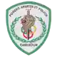 FAP logo