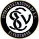 SV Elversberg logo
