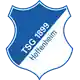 1899 Hoffenheim logo