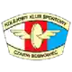 Czarni Sosnowiec W logo