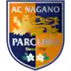 Parceiro Nagano W logo