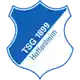 1899ホッフェンハイムW logo