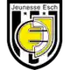 AS Jeunesse 에슈 logo