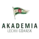 Akademia Piłkarska LG logo