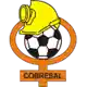 Cobresal logo