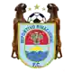 Deportivo Binacional logo