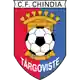 Chindia Targoviste logo