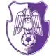 Арджеш Питешти logo