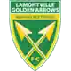 Golden Arrows logo