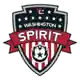 Washington Spirit W logo