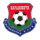 Baranovichi logo