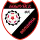 Belshina logo