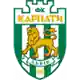 Karpaty logo