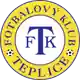테플리체 logo