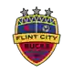 Flint City Bucks logo