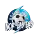 Ocean City Nor'easters logo