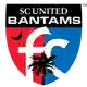 SC United Bantams logo