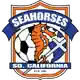 Seahorses logo