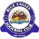 Blue Eagles logo