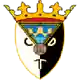 Tudelano logo