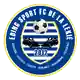 Eding Sport logo