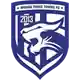 Wuhan Three Towns logo