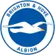 Brighton U21 logo