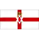 Northern Ireland logo