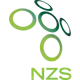 Slovenia U21 logo