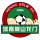 Henan Jianye logo
