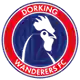 Dorking Wanderers logo