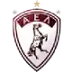 Larisa logo